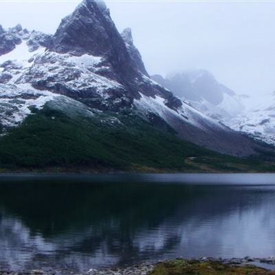 澳门一码一肖一特一中app下载截图