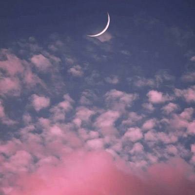 NG28下载地址官网